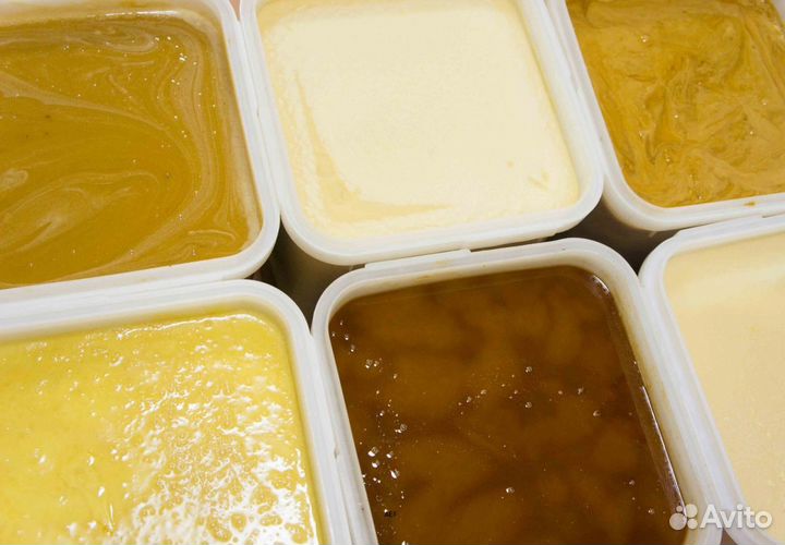 2024 Мёд натуральный алтайский опт