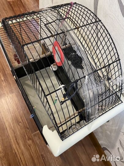 Клетка для попугая бронь