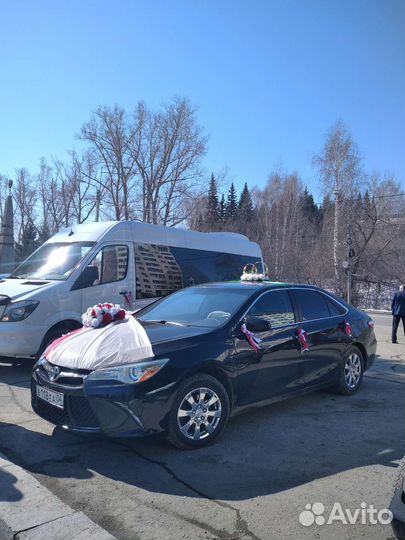 Трансфер. Экскурсии