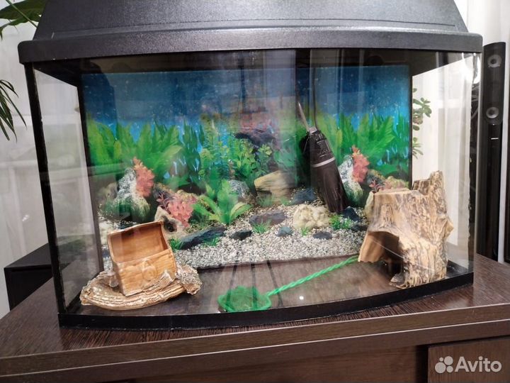 Аквариум