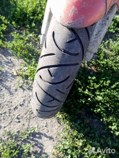 Рейсер нитро 250