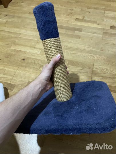 Когтеточка