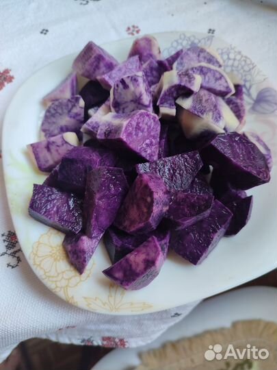 Семенной картофель