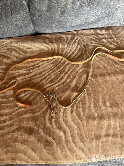 Ошейник и поводок для маленькой собачки