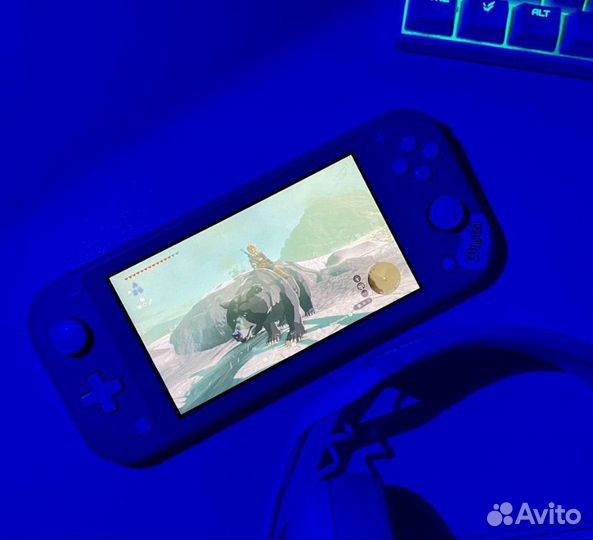 Nintendo switch lite прошитая чип
