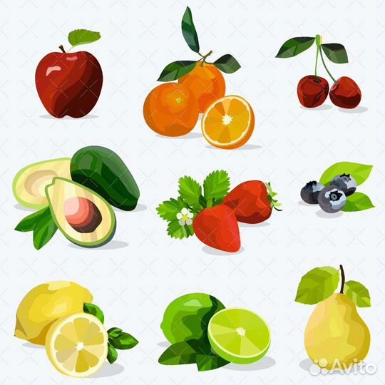 Отрисовка в векторе, макет, графический дизайн