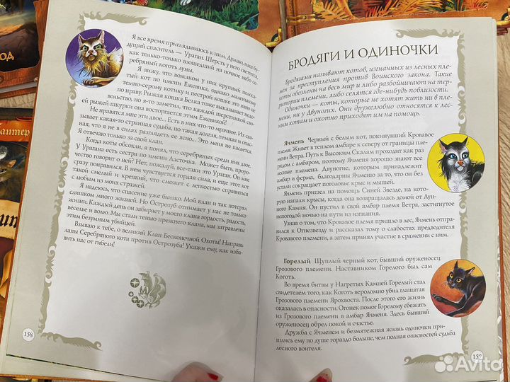 Комиксы книги коты воители,крестовой поход хроно