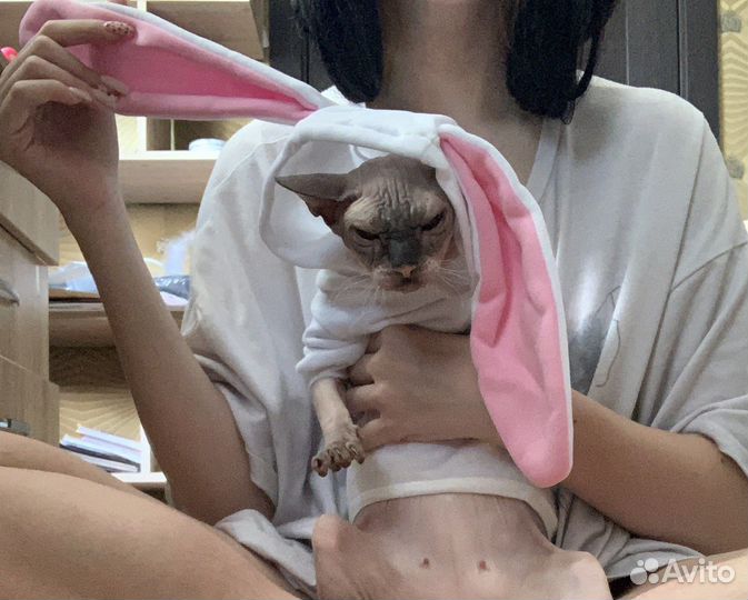 Кофта для кошки с заячьями ушами