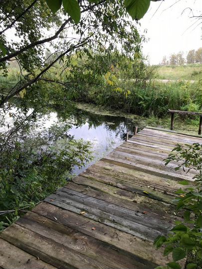 Дача 115 м² на участке 10 сот.