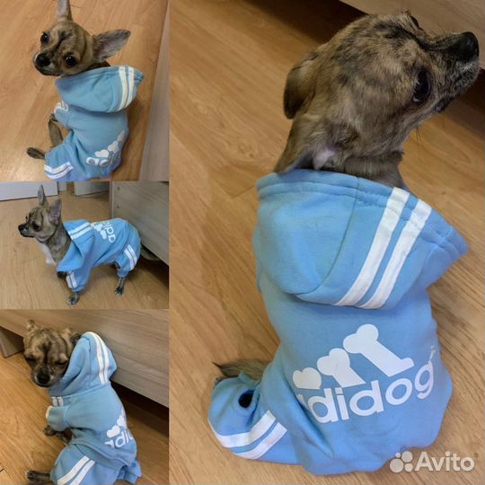 Костюм для собаки