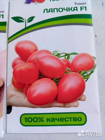 Рассада помидоров томатов