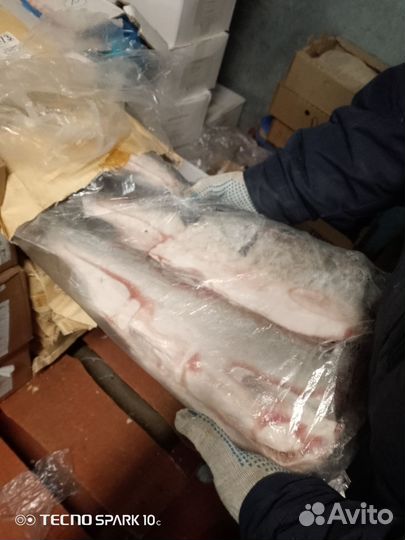 Кижуч дикий лосось свежемороженый