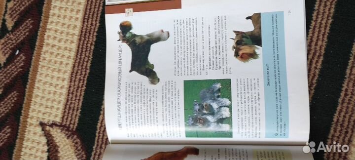 Собака. Ваш лучший друг. Альбом-энциклопедия