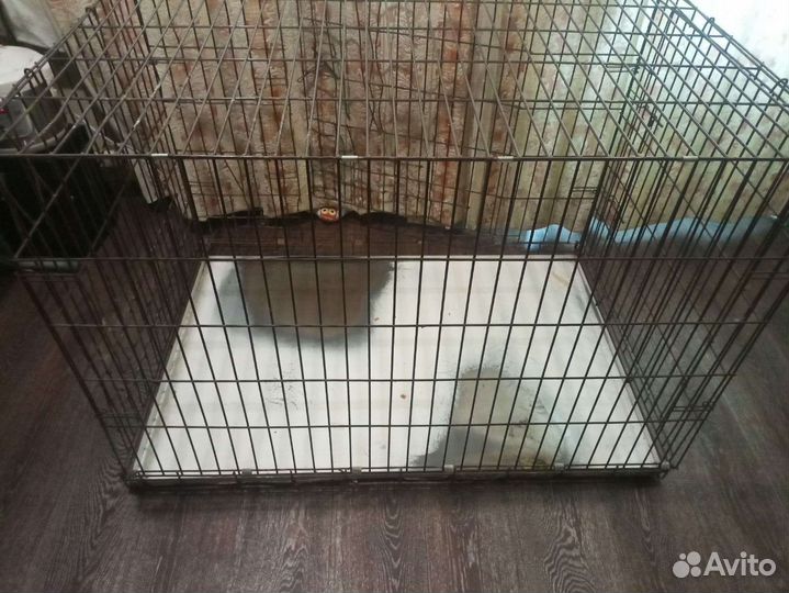 Клетка для собак