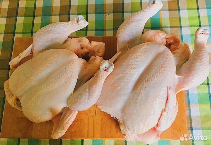 Цыплята Бройлеры