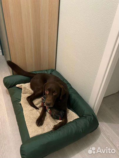 Лежанка для любимцев всех размеров