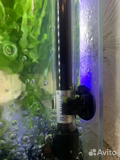 Аквариум 50 л