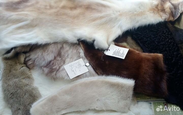 Шкурка животного