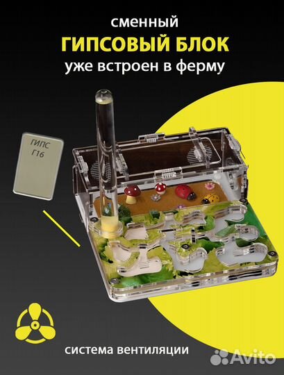 Муравьиная ферма (Формикарий) Мини