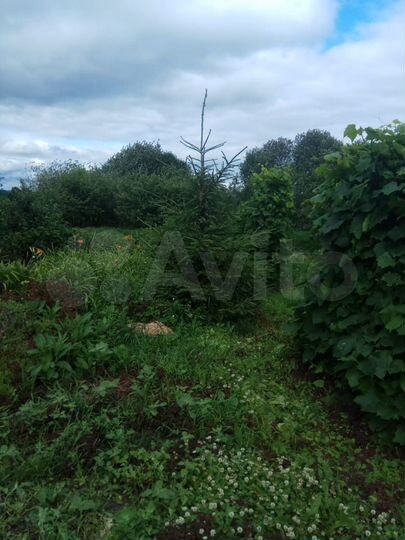 Дом 40 м² на участке 40 сот.