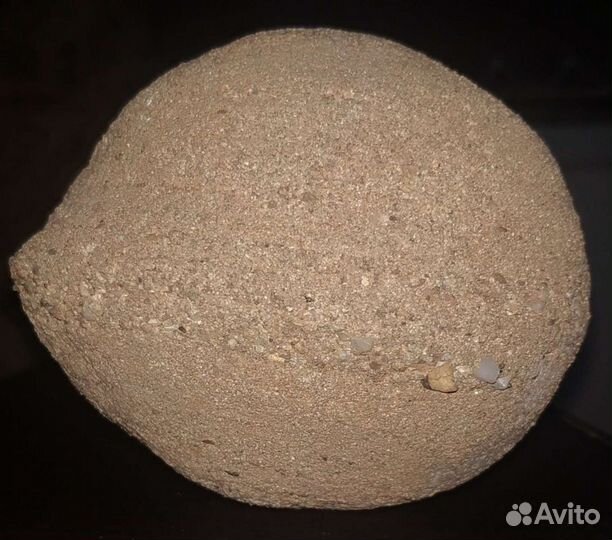 Сфероллит,конкреция с торчащейю из него окаменелою