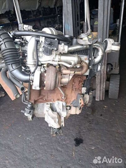 Двигатель Renault Megane