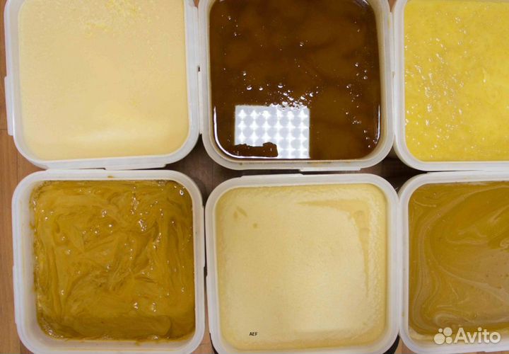 2024 Мед натуральный из Алтая опт