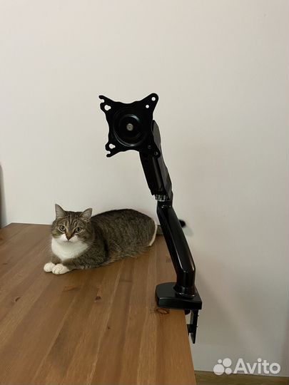 Крепление для мониторов NB F80