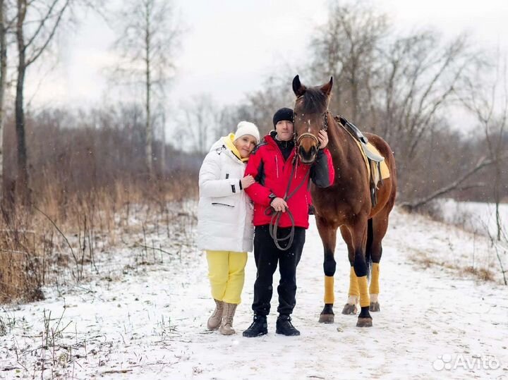 Прогулка на лошади