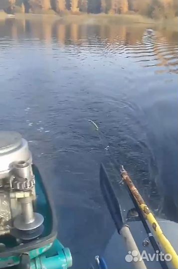 Надувная лодка с мотором