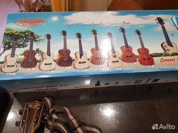 Укулеле концерт