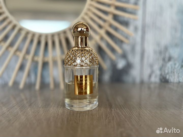 Amouage - Sunshine, Guerlain - Mandarine Basilic