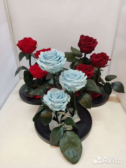 Роза в колбе