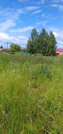 Участок 10,6 сот. (ИЖС)