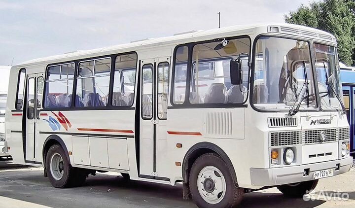 Водитель автобуса паз(категория Д)