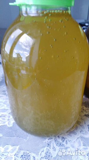 Липовый мед 3л сбор 2023г