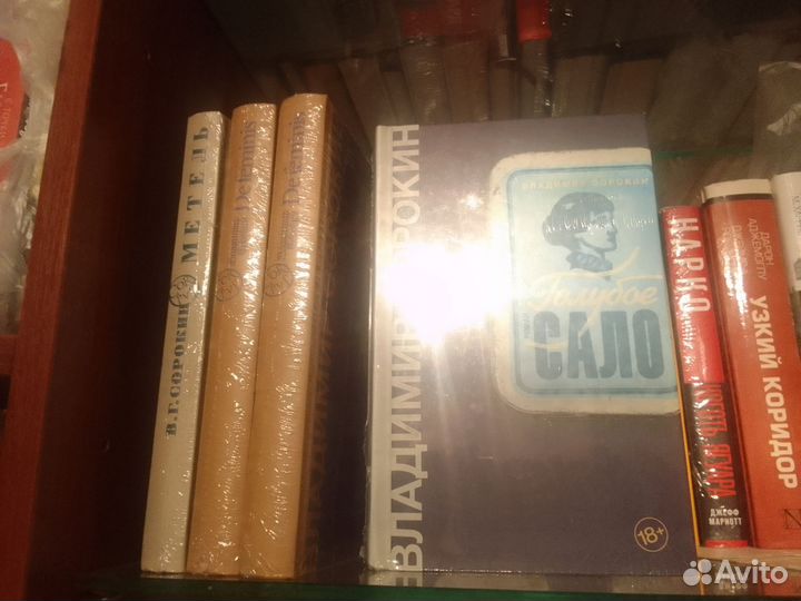 De feminis Сорокин Владимир. Женщины