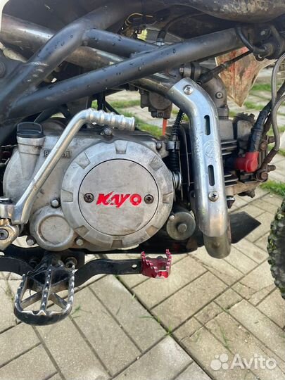 Питбайк Kayo