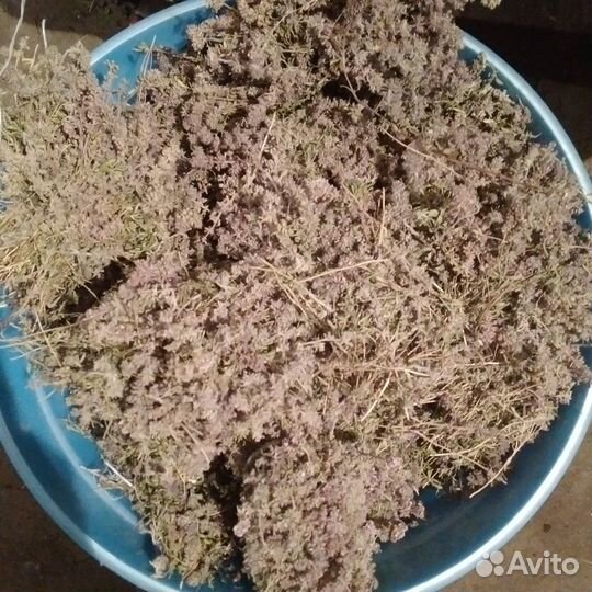 Лечебные травы душица чабрец мята и шиповник