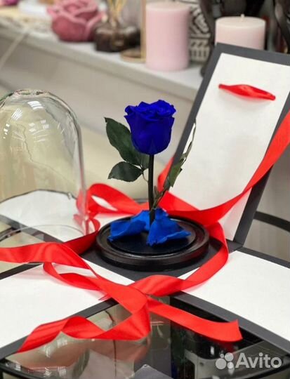 Розы в колбе