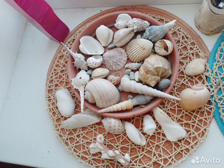 Кораллы.Морская звезда.Раковины аквариум