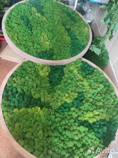 Декор из мха