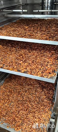 Креветка черноморская вареная