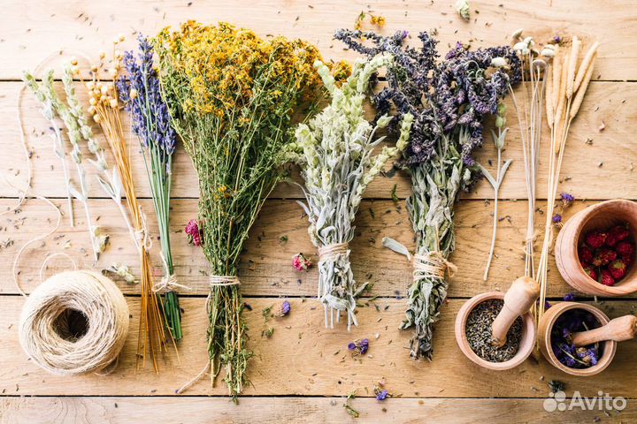 Средство для профилактики глистов