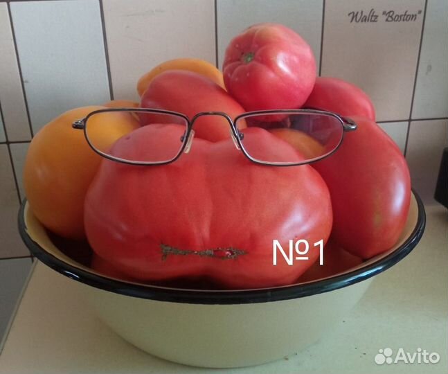 Семена томатов