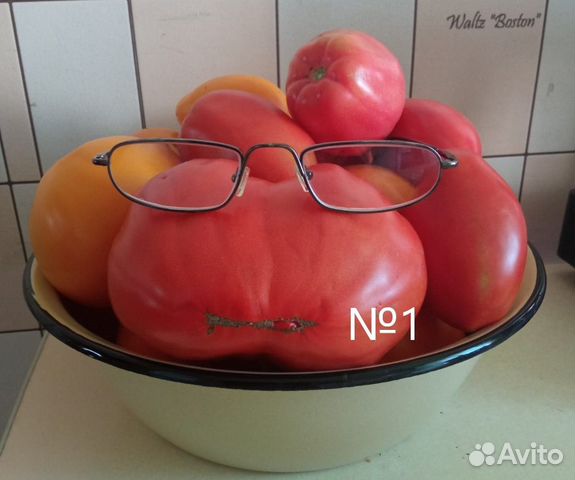 Семена томатов