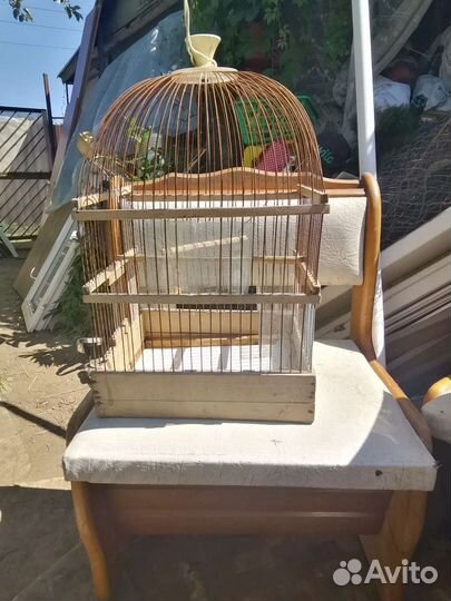 Клетка для птиц бу