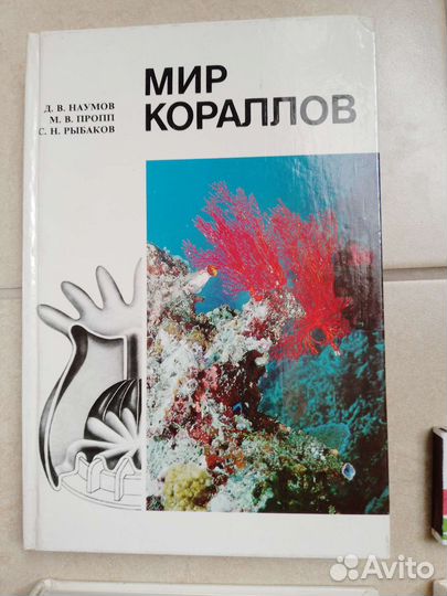 Кораллы. Ч. Дарвин