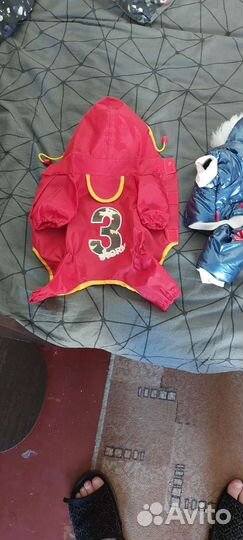 Вещи для маленьких собак