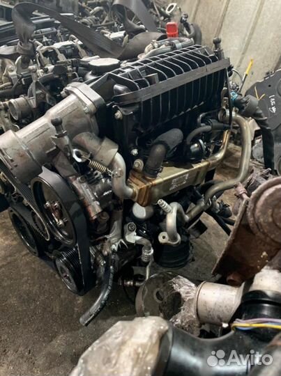 Двигатель 646 Мерседес Viano Sprinter